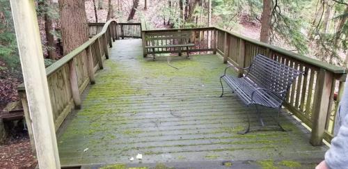 340115177 712144807352816 170029142550890868 n-1